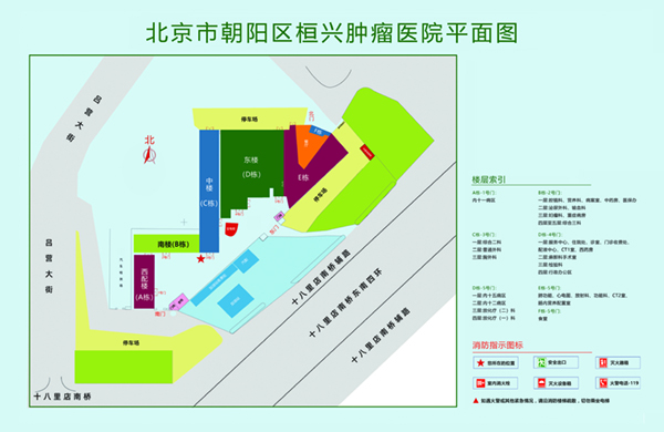 女生逼被插爆视频免费看北京市朝阳区桓兴肿瘤医院平面图